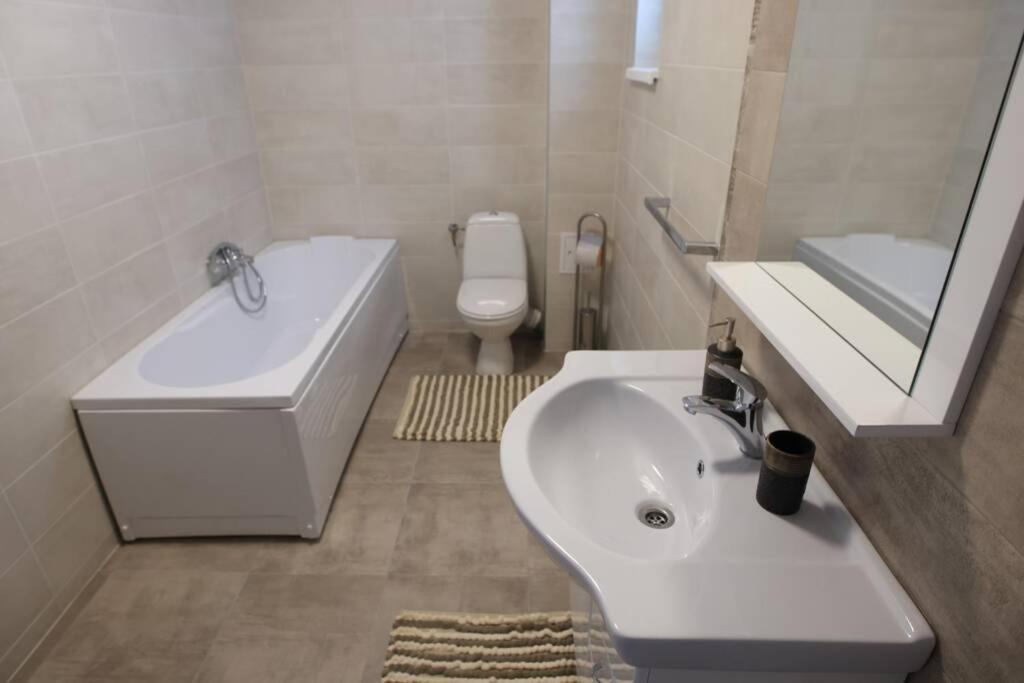 White Apartment Gura Humorului, Bucovina, Voronet Dış mekan fotoğraf